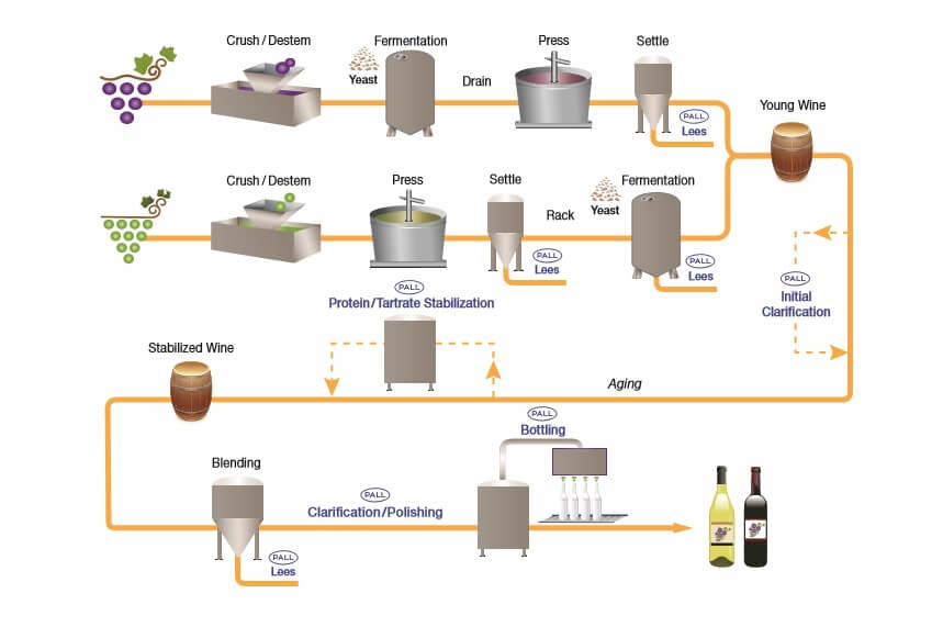 Wine filtration process flow diagram