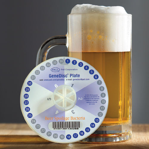 GeneDisc Plate for Beer Spoilage Bacteria