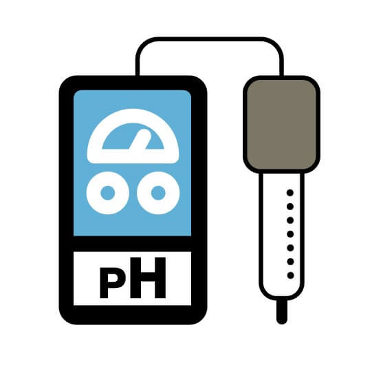 Bioreactor pH sensor