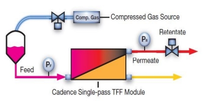 Single Pass TFF Process Flow