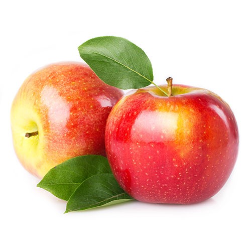 apple cider filtration